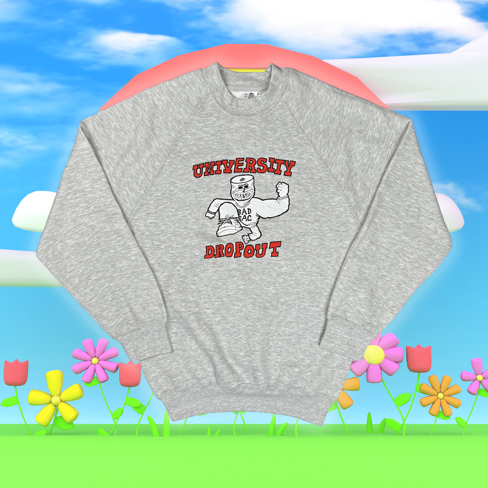 Image of “University Dropout” embroidered sweatshirt (Ash grey)