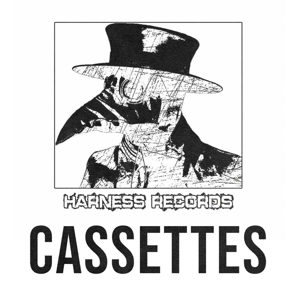 Image of Harness Records Cassettes