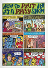 "How To Phit In At A Phish Show" Print