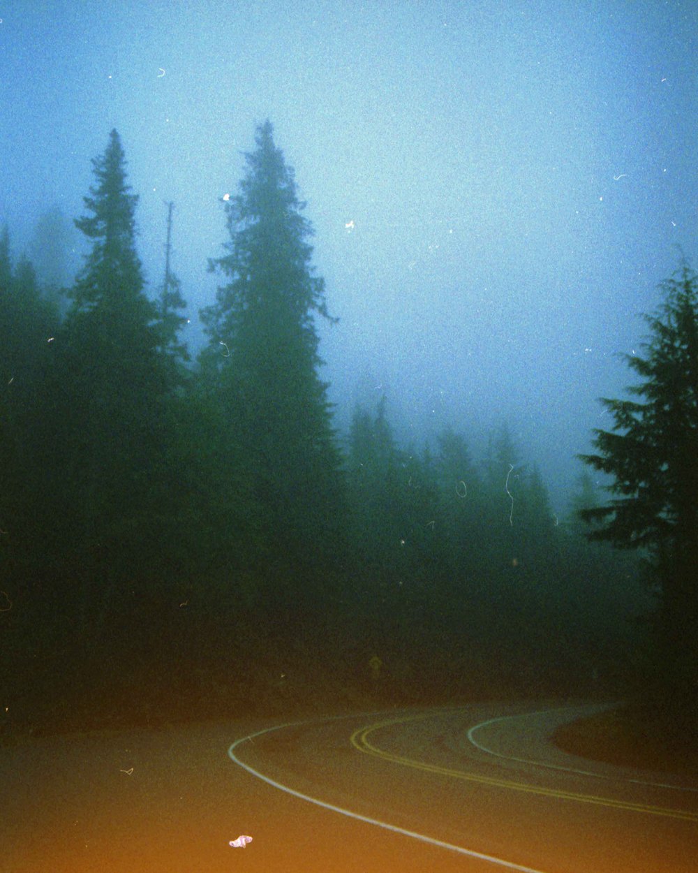 Image of Open Roads, Open Hearts.