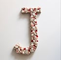 Lettre 20cm en bois et en fleurs séchées personnalisable