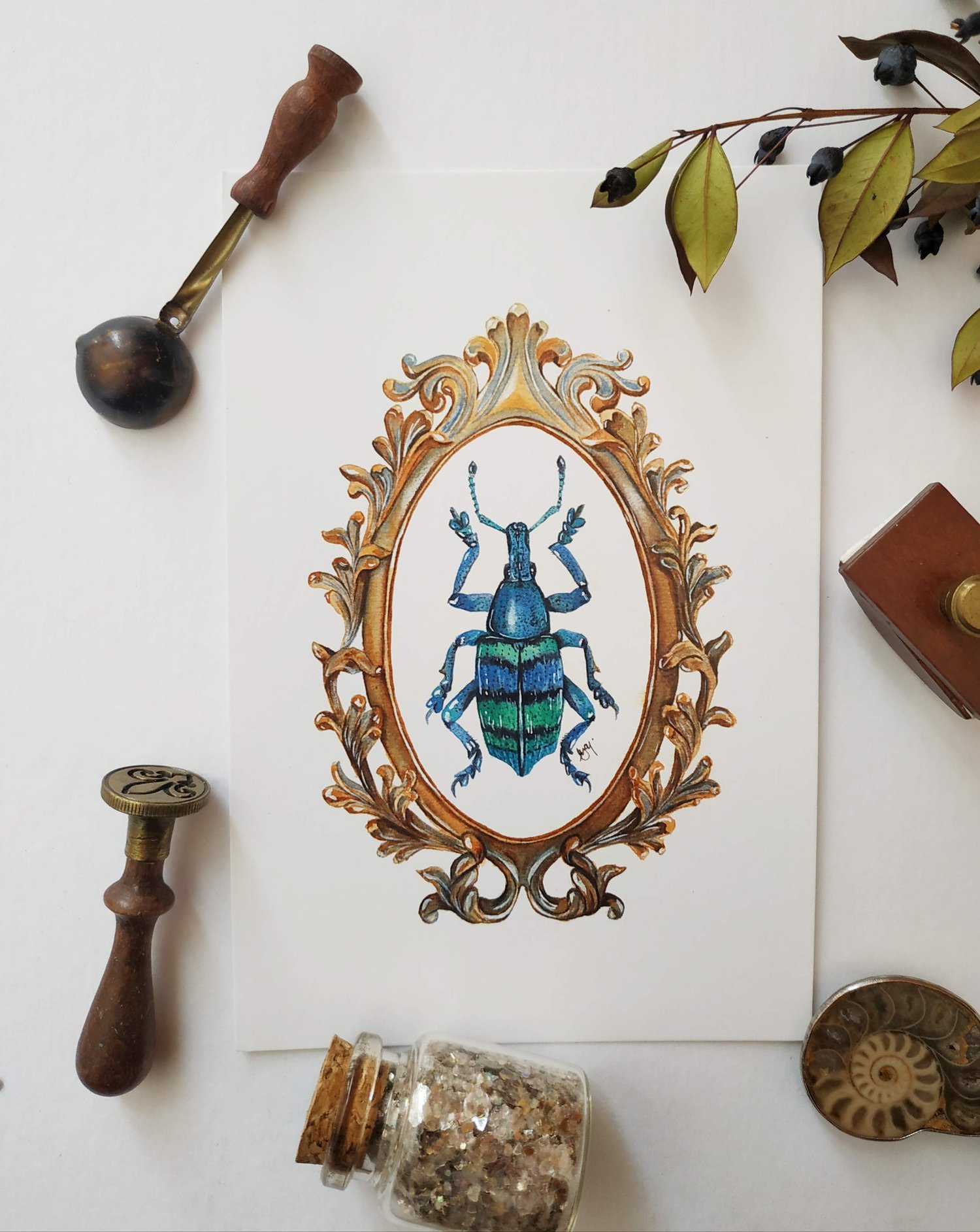Image of Framed Weevil Beetle Watercolor Illustration PRINT 