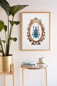 Image 6 of Framed Weevil Beetle Watercolor Illustration PRINT 