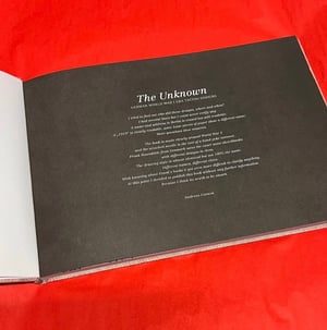 Image of THE UNKNOWN