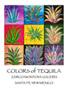 Colors of Tequila Poster