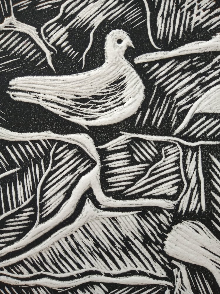 Image of White doves in the ruins by Wenda Bartlett