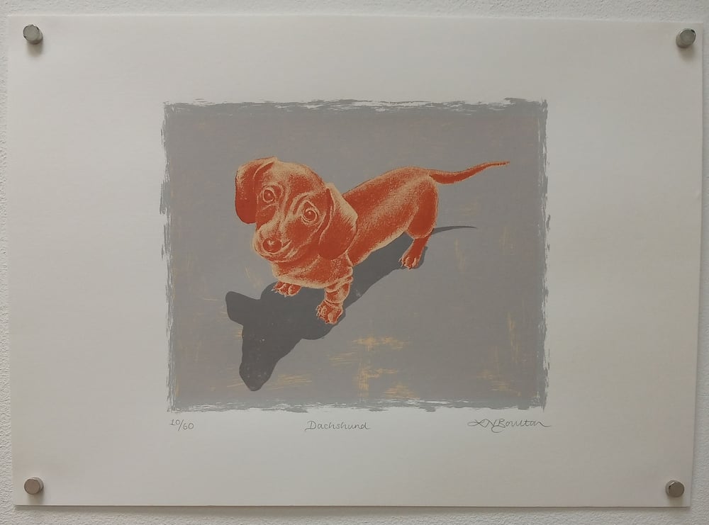 Image of Dachshund by Louise Boulton