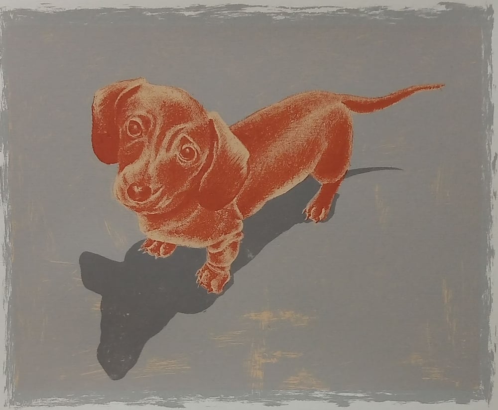 Image of Dachshund by Louise Boulton