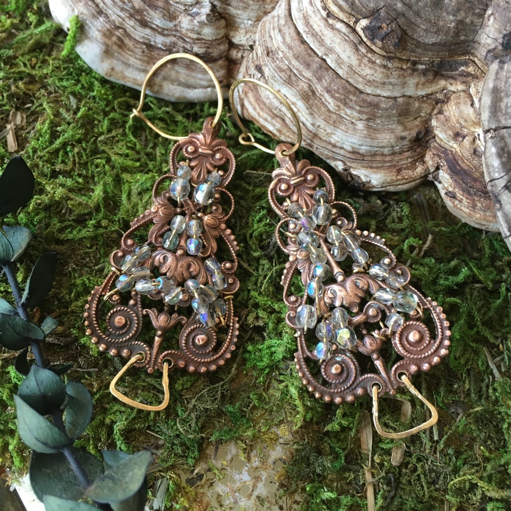 Image of Magical Morels