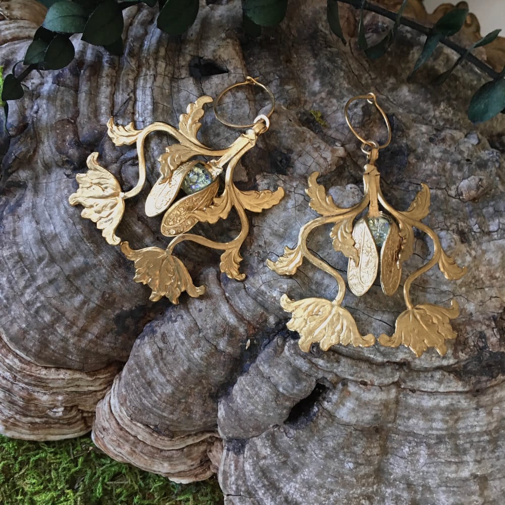 Image of Cicadas Flight