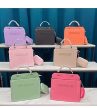 Steve Madden bag 
