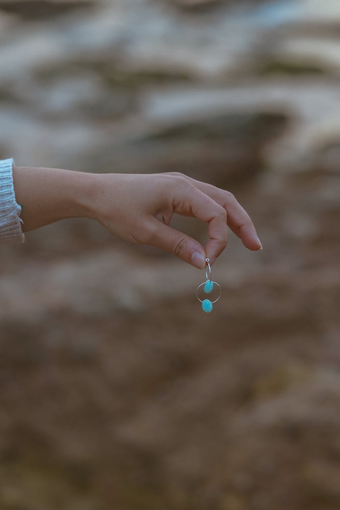 Image of Special Earrings