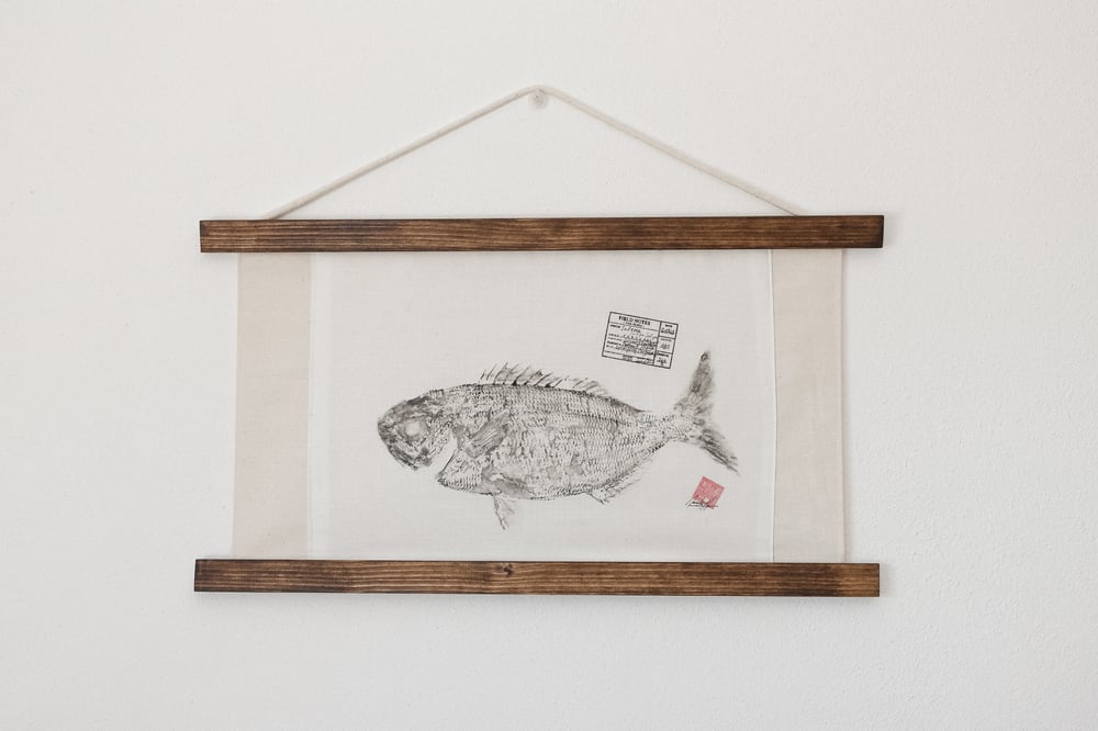 Image of Salema | Sarpa Salpa