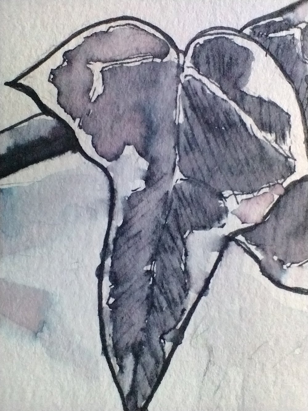 'IVY PIECE' - ORIGINAL PEN & BRUSH PAINTING