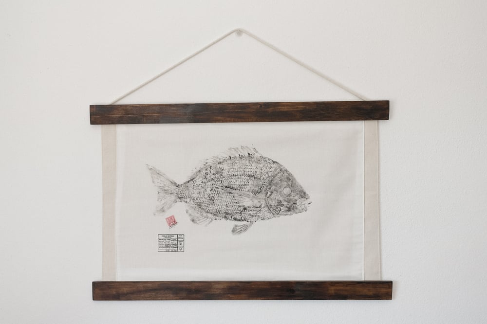 Image of Sargo Veado | Zebra Sea bream