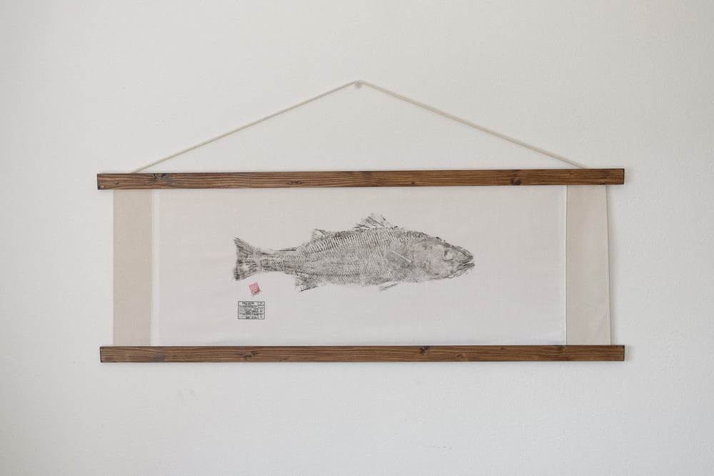 Image of Robalo legítimo | EU Sea bass