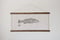 Image of Robalo legítimo | EU Sea bass