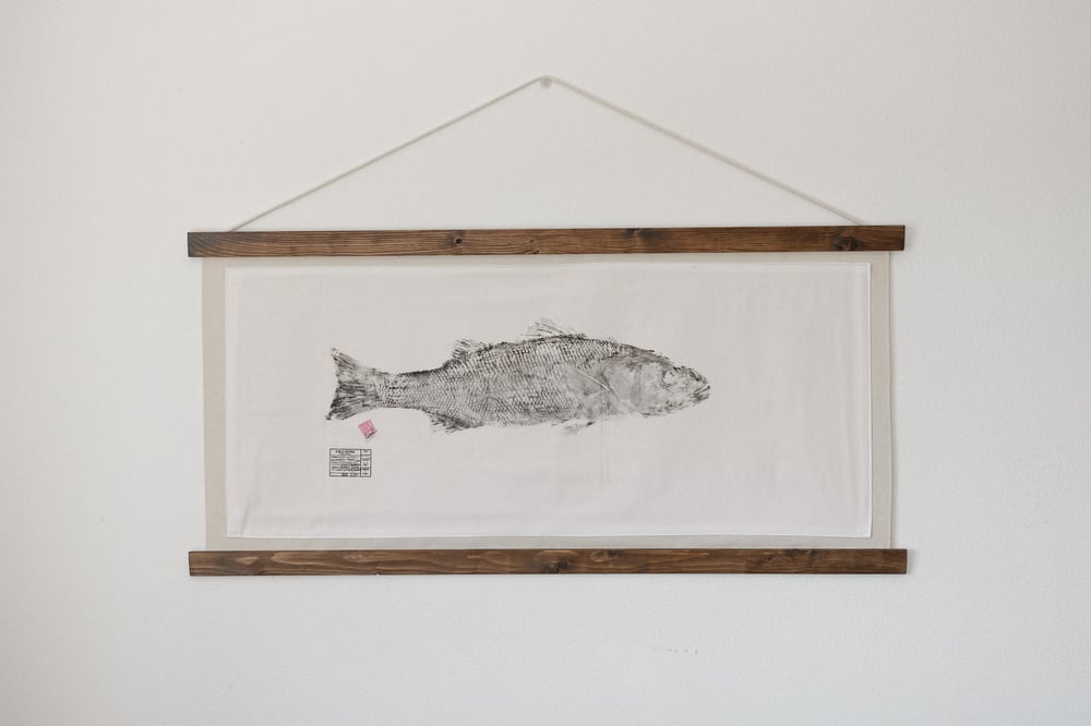 Image of Robalo legítimo | EU Sea bass