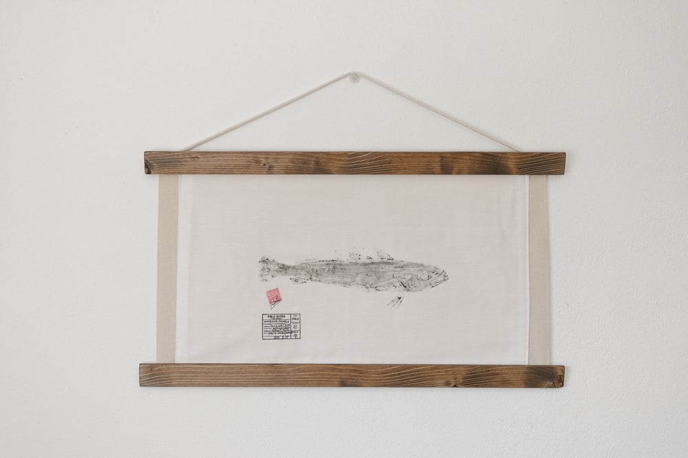 Image of Pescada | EU Hake