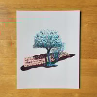 Image 2 of Olive Grove Print