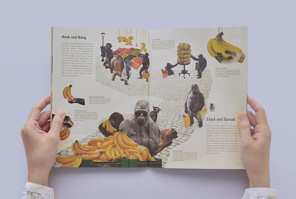 Image of Science of the Secondary #11 BANANA