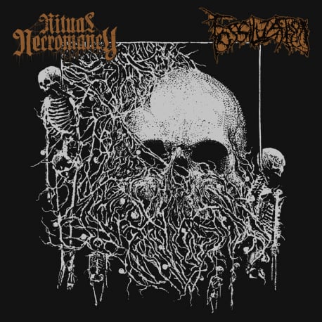 Image of Fossilization /Ritual Necromancy Split CD