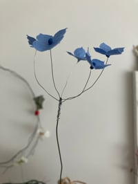 Image 2 of Hydrangea 