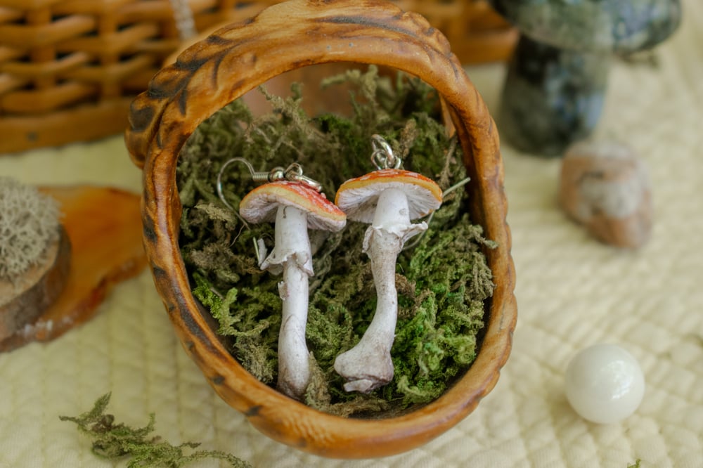 Image of Fly Agaric Mushroom Earrings