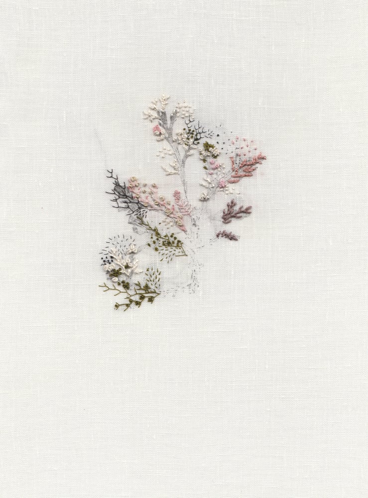 Image of Duileasc
