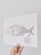Image of BESUGO | Axillary Seabream