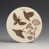 Hawkmoth sgraffito wall hanging 