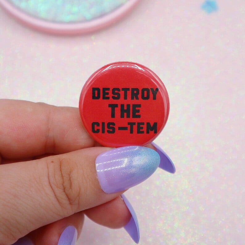 Image of Destroy The Cis-tem Button Badge
