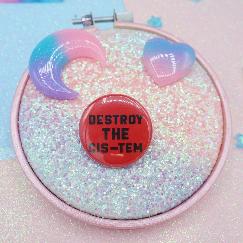 Image of Destroy The Cis-tem Button Badge