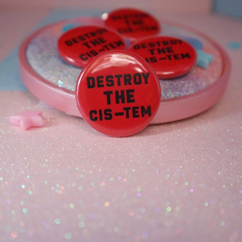 Image of Destroy The Cis-tem Button Badge