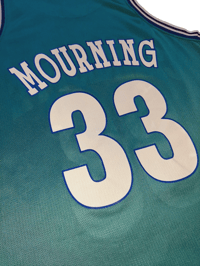 Image 5 of CHAMPION ALONZO MOURNING JERSEY