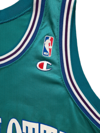 Image 3 of CHAMPION ALONZO MOURNING JERSEY