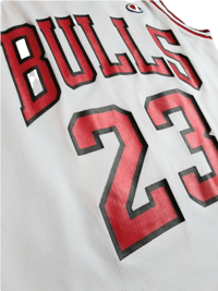 Image 3 of CHAMPION MICHAEL JORDAN JERSEY