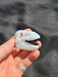 Image 3 of Ghost T-Rex skull pendant.