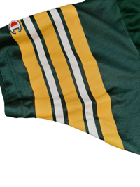 Image 3 of  BRETT FAVRE CHAMPION JERSEY 