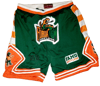 HBCU FAMU SHORTS GREEN