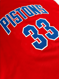 Image 2 of CHAMPION GRANT HILL JERSEY