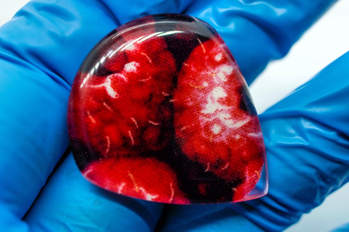 Image of Limited edition: 6mm 'Raspberry Greedy' plectrum 