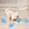 PRE-ORDER: BENTOPAL Interactive Dog Toy Wicked Ball for Indoor Cats