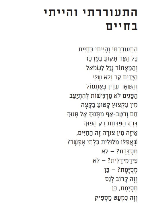 Image of טינו מושקוביץ - בטן אלפא (2022)