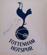 Image 1 of Harry Kane Tottenham Hotspur Signed 10x8