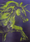 BLUE-GREEN HORSE 59" X 43"