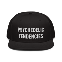Image 1 of Psychedelic snapback