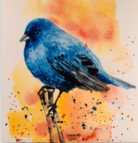 A blue bird watercolors