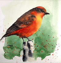 A red bird bird with watercolors print