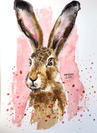 A hare with watercolors